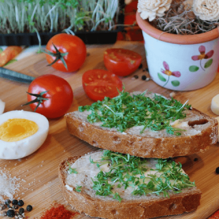 eiwitrijk brood