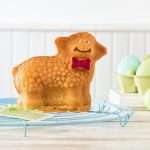 Lotti 3D